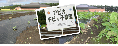 イメージ イメージ